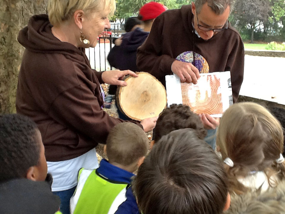 Megg Nicol - Little Fir Tree Project